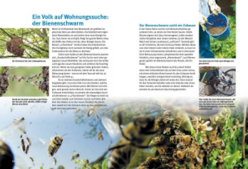 Preview: Entdecke die Bienen